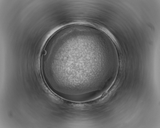 X0000113231004200909101207