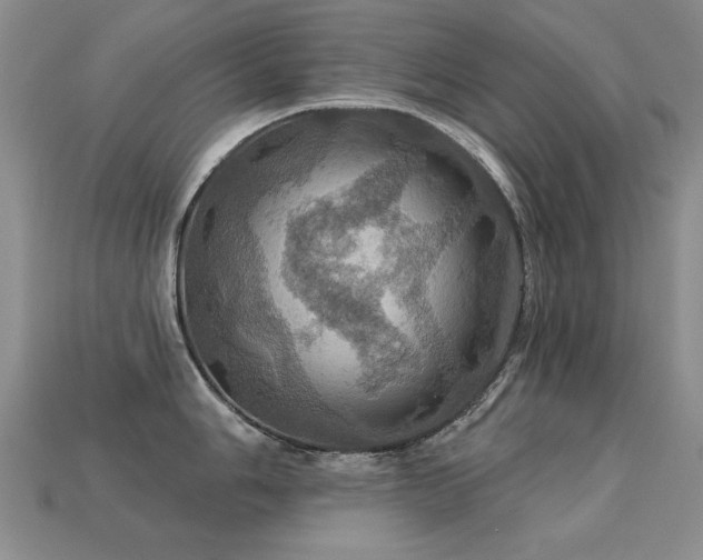 X0000113231006200909101207