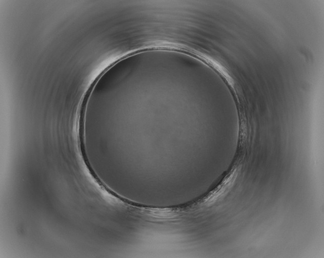 X0000113231007200909101207