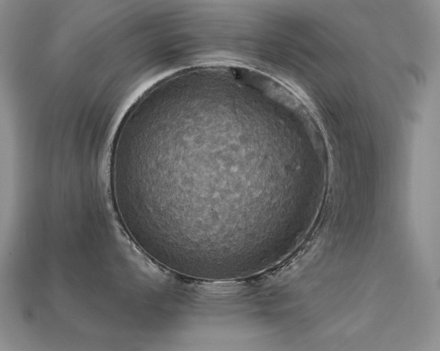 X0000113231008200909101207