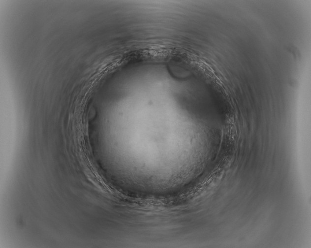 X0000113231009200909101206