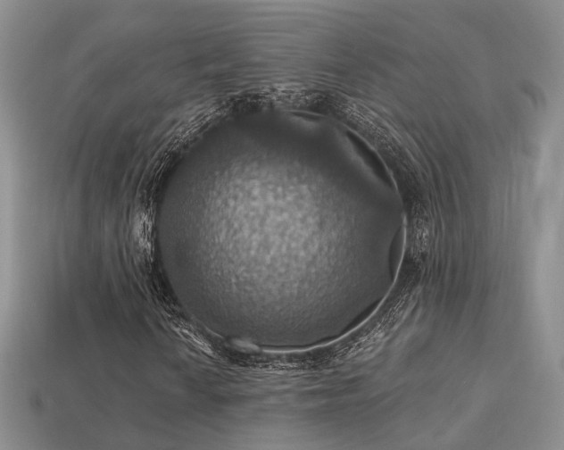 X0000113231010200909101206