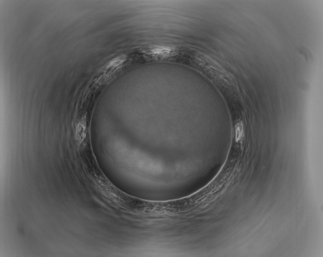 X0000113231011200909101206