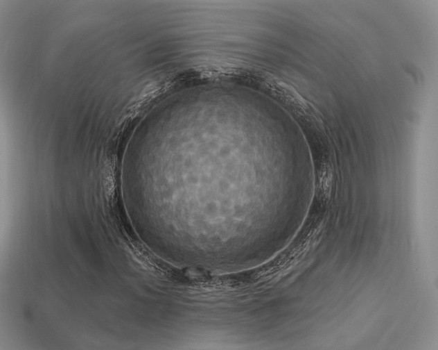 X0000113231012200909101206