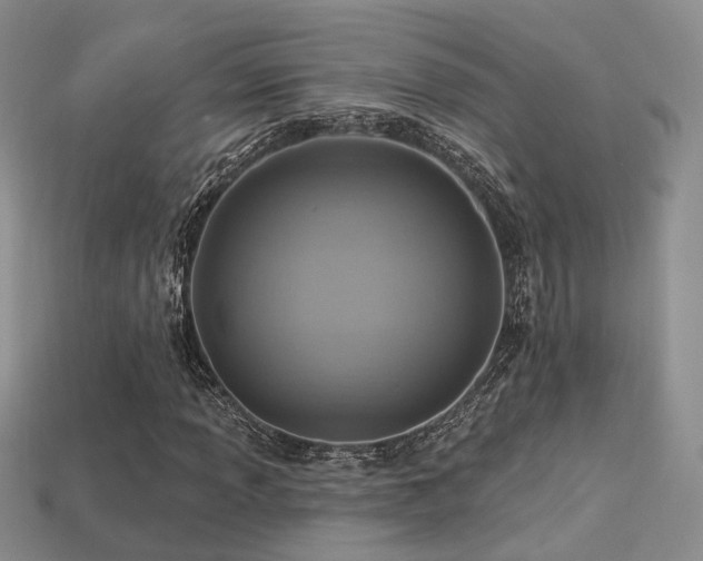 X0000113231013200909101206