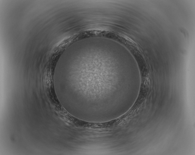 X0000113231014200909101206
