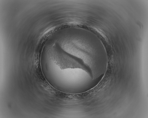 X0000113231015200909101206