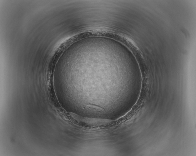 X0000113231016200909101206