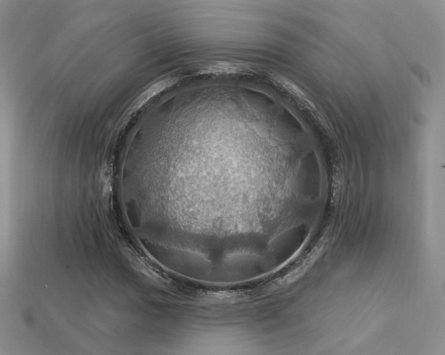 X0000113231017200909101207