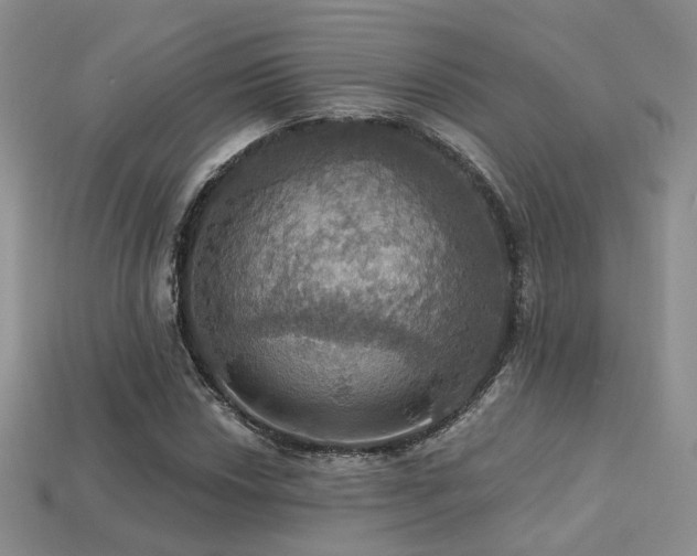 X0000113231018200909101207