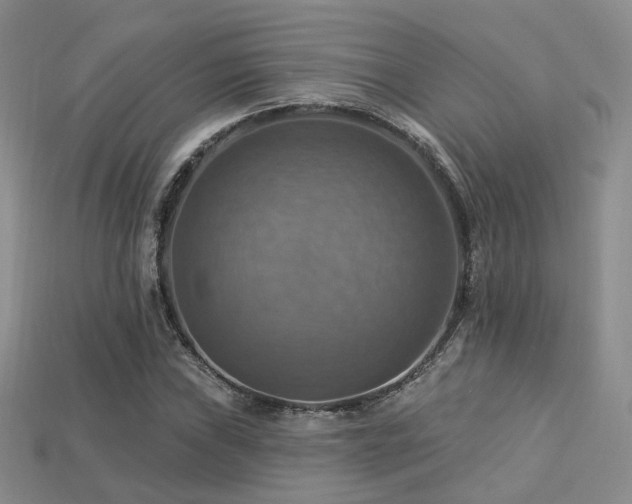X0000113231019200909101207