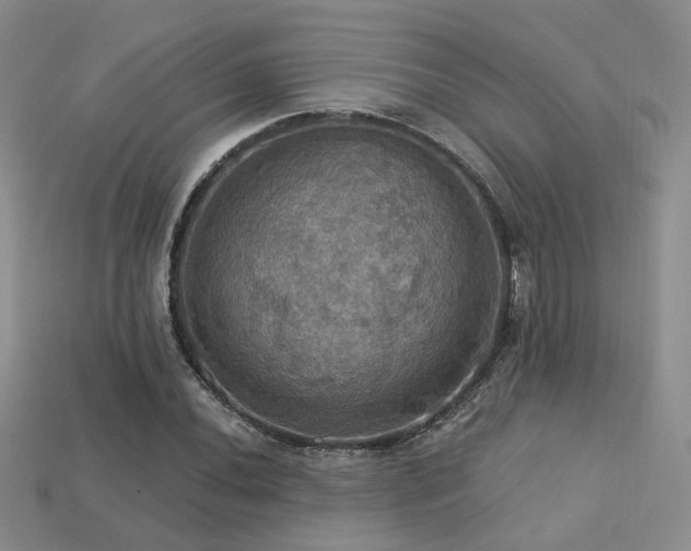 X0000113231020200909101207