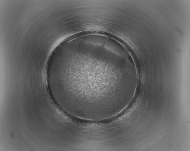 X0000113231022200909101207