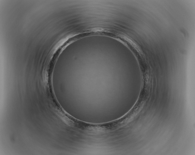 X0000113231023200909101207