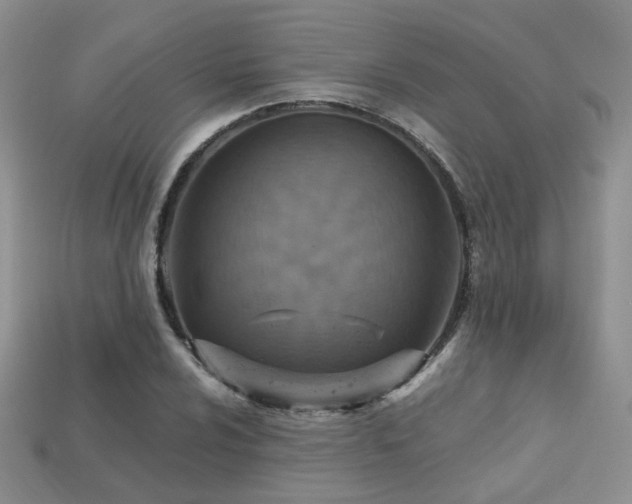 X0000113231024200909101207