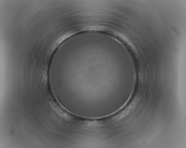 X0000113231025200909101207