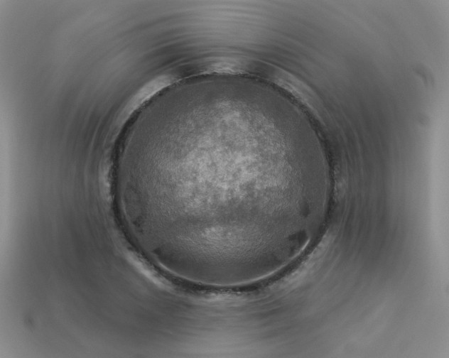 X0000113231026200909101207