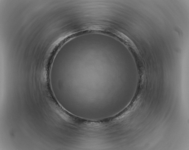 X0000113231027200909101207