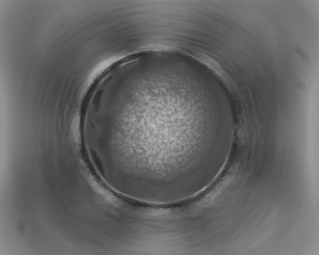 X0000113231030200909101207