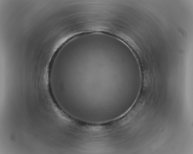 X0000113231031200909101207