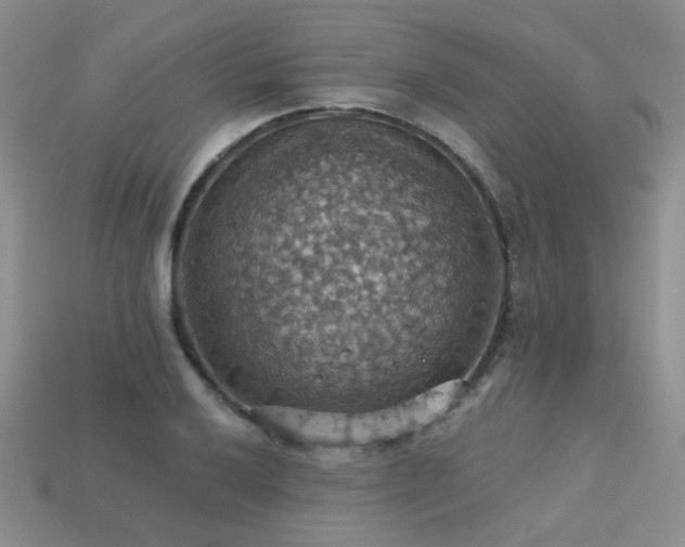 X0000113231032200909101207