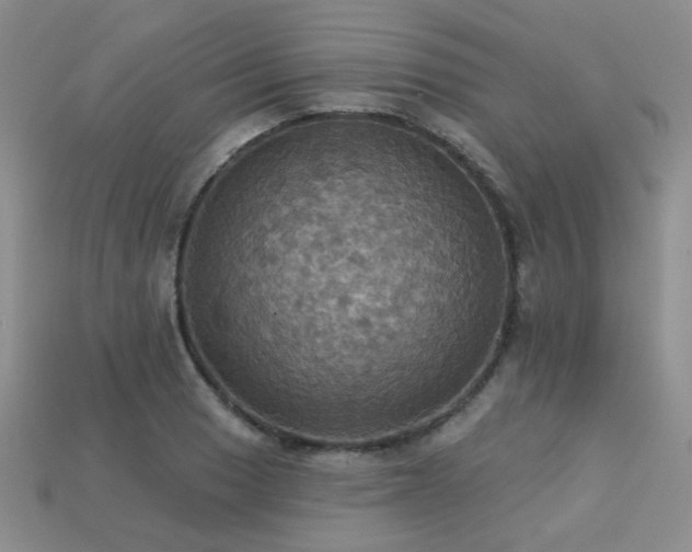 X0000113231033200909101207