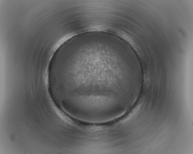 X0000113231034200909101207