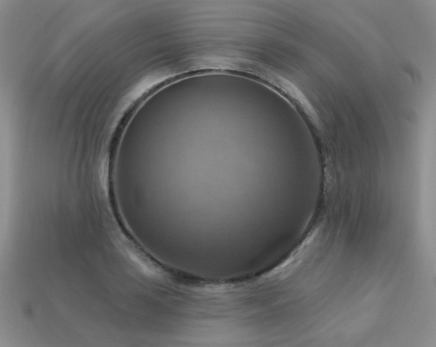 X0000113231035200909101207