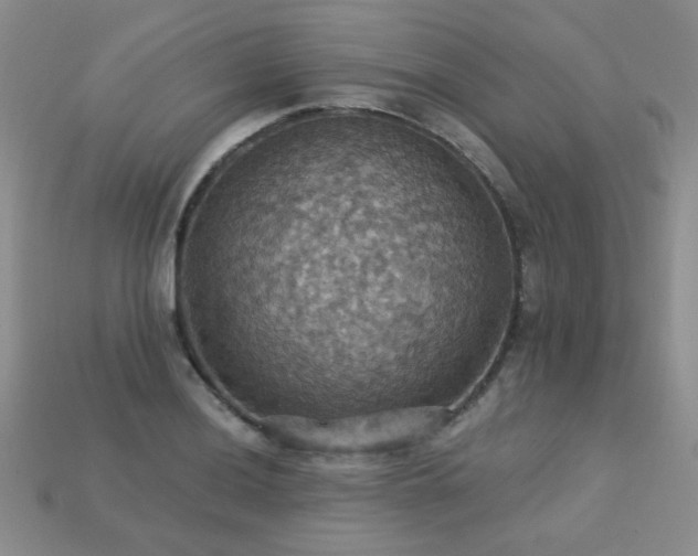 X0000113231036200909101207