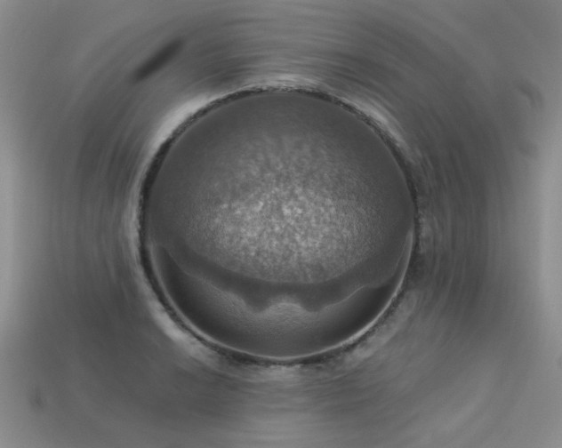X0000113231038200909101207