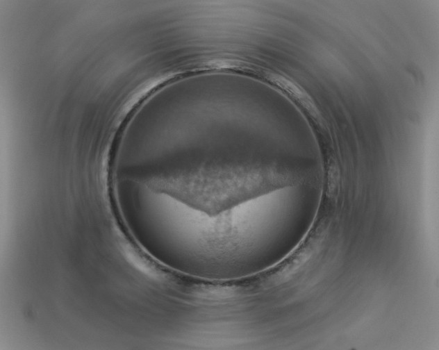 X0000113231039200909101207