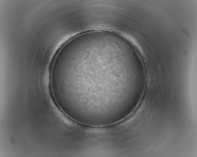 X0000113231040200909101207