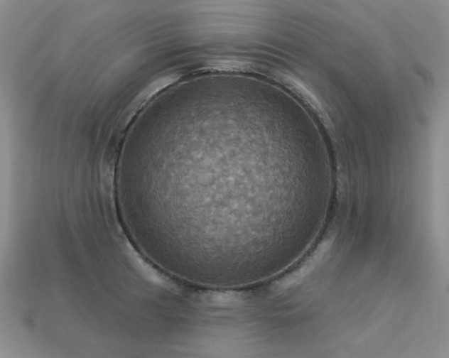X0000113231041200909101207