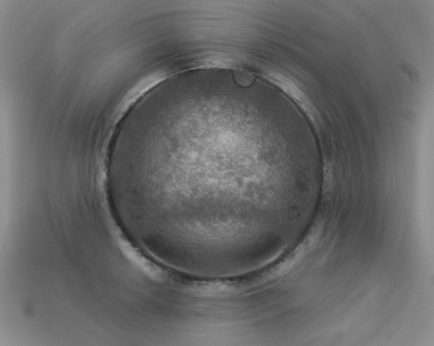 X0000113231042200909101207