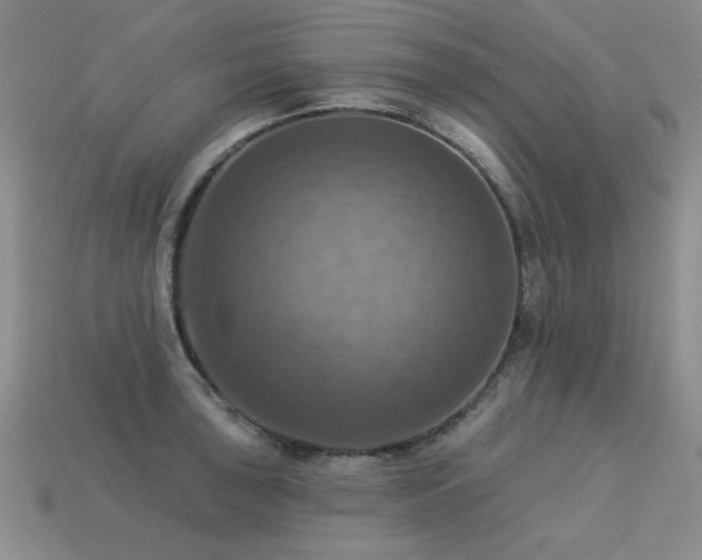 X0000113231043200909101207