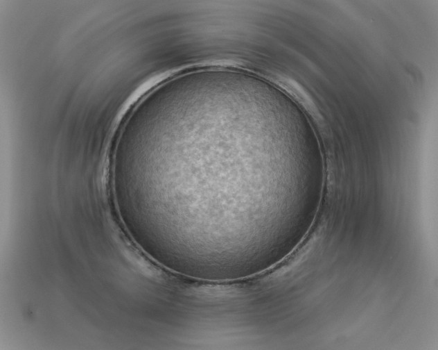 X0000113231044200909101207