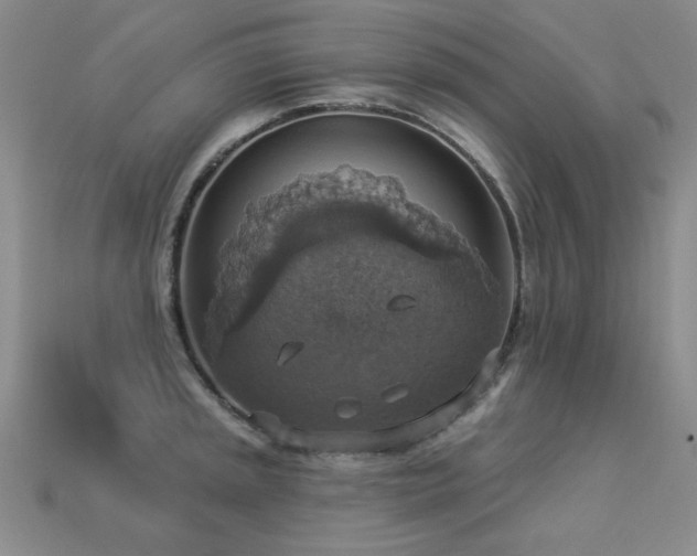 X0000113231045200909101207