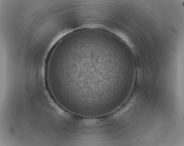 X0000113231046200909101207