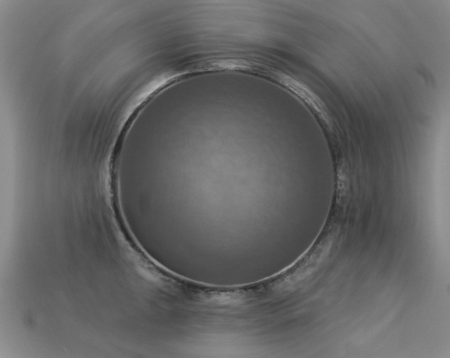 X0000113231047200909101207