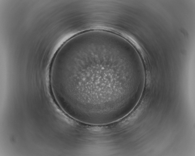 X0000113231048200909101207
