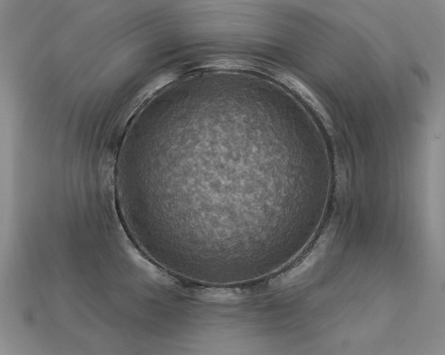 X0000113231049200909101207