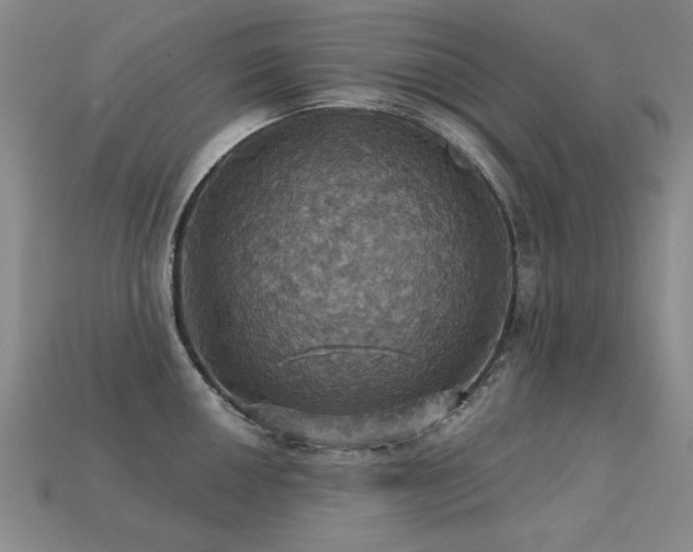 X0000113231050200909101207