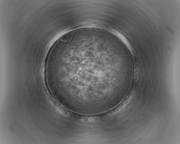 X0000113231051200909101207
