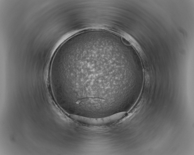 X0000113231052200909101207