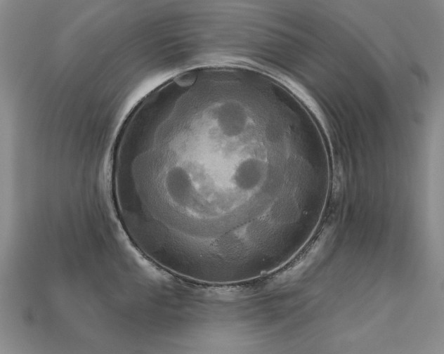 X0000113231053200909101207