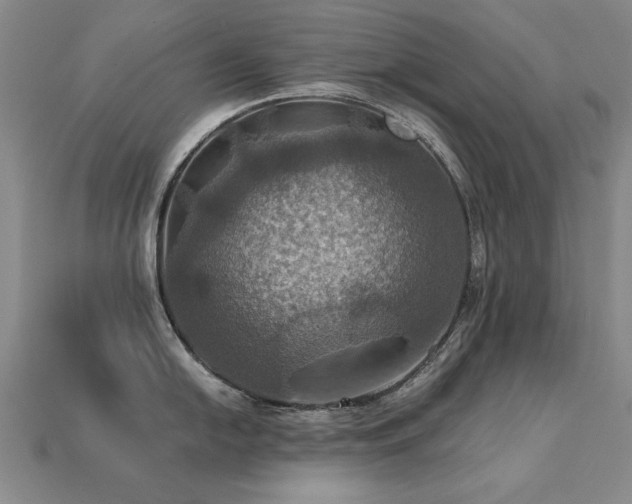 X0000113231054200909101207