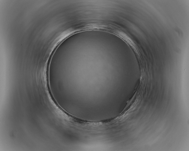 X0000113231055200909101207