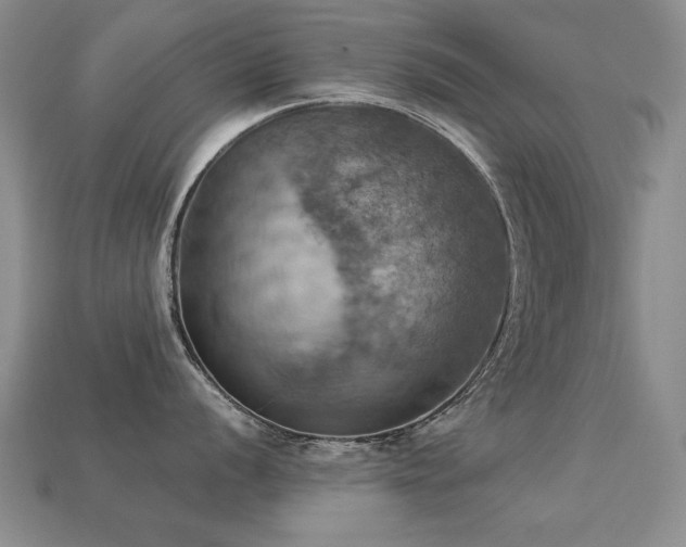 X0000113231056200909101207