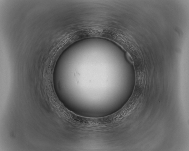 X0000113231057200909101206