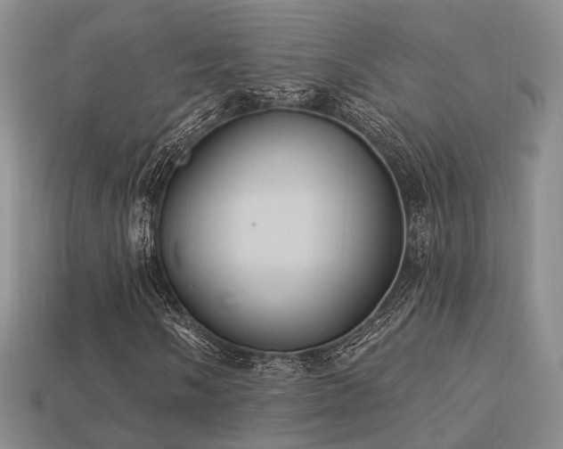 X0000113231058200909101206